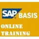 sap basis training